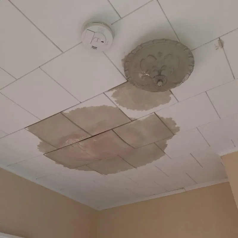 Ceiling Water Damage Repair in Hampton, IA