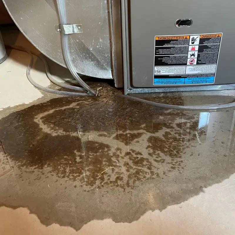 Pipe Burst and Leak Restoration in Hampton, IA